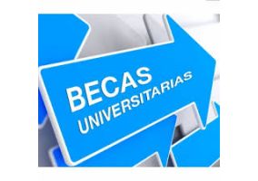 Ampliar información de Ayudas complementarias a estudiantes para la realización de estudios universitarios fuera de la Comunidad Autónoma de La Rioja