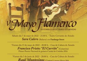 Ampliar información de Mayo Flamenco: la actuación del guitarrista Currito se traslada al 27 de mayo.