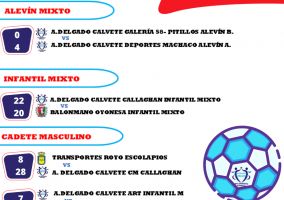 Ampliar información de Resultados C.D. A.Delgado-Balonmano Arnedo
