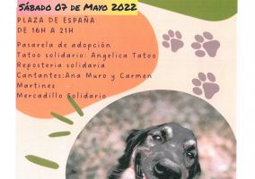 Ampliar información de II Jornada de Adopción de mascotas de Arnedo