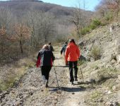 Ampliar información de Senderos en la Reserva de la Biosfera