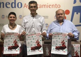 Ampliar información de Presentada la 1ª Feria Flamenca del Verano