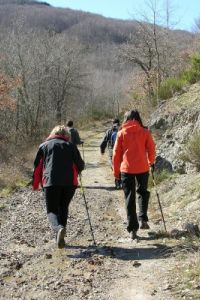 Ampliar información de Senderos en la Reserva de la Biosfera