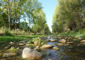 Ampliar información de Inscripción en el nuevo regadío de la margen derecha del río Cidacos