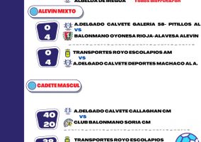 Ampliar información de Resultados Balonmano