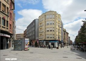 Ampliar información de Cortes de tráfico en la zona Centro con motivo del FARDELEJ